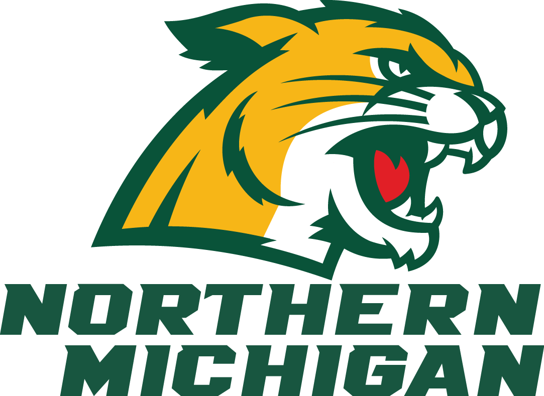 Northern Michigan Wildcats 2016-Pres Alternate Logo diy DTF decal sticker